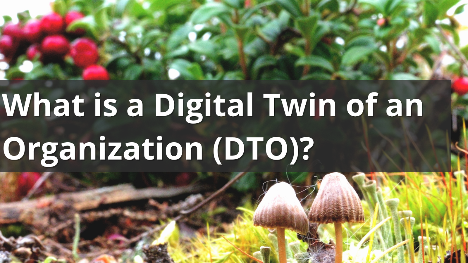 What is a Digital Twin of an Organization (DTO)?